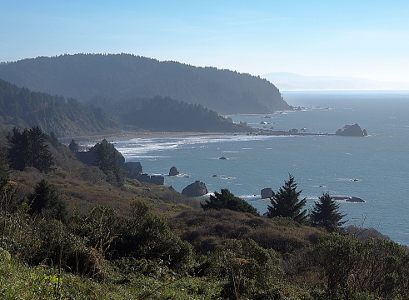 [Looking out at two u-shaped coves with what appears to be more in the distant haze. The foreground has low vegetation and rocks, but tehre are some larger evergreens further down the hill.]